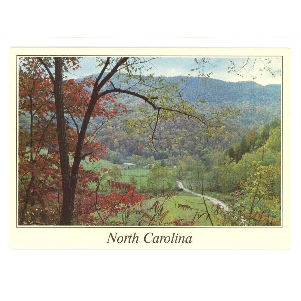 Vintage Postcard North Carolina United States USA Forest Landscape Mountains‎